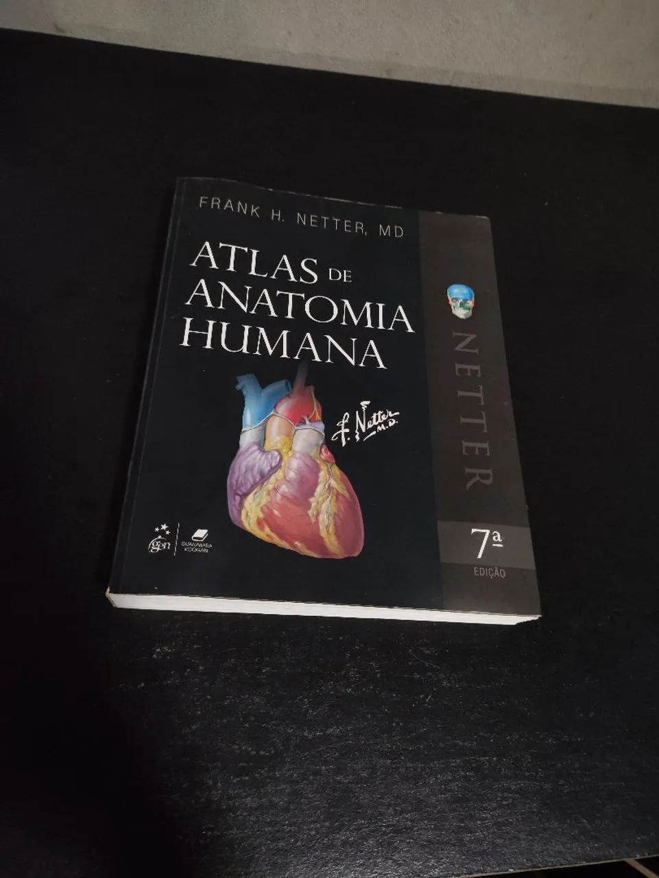 NETTER ANATOMIA 7° EDIÇÃO 