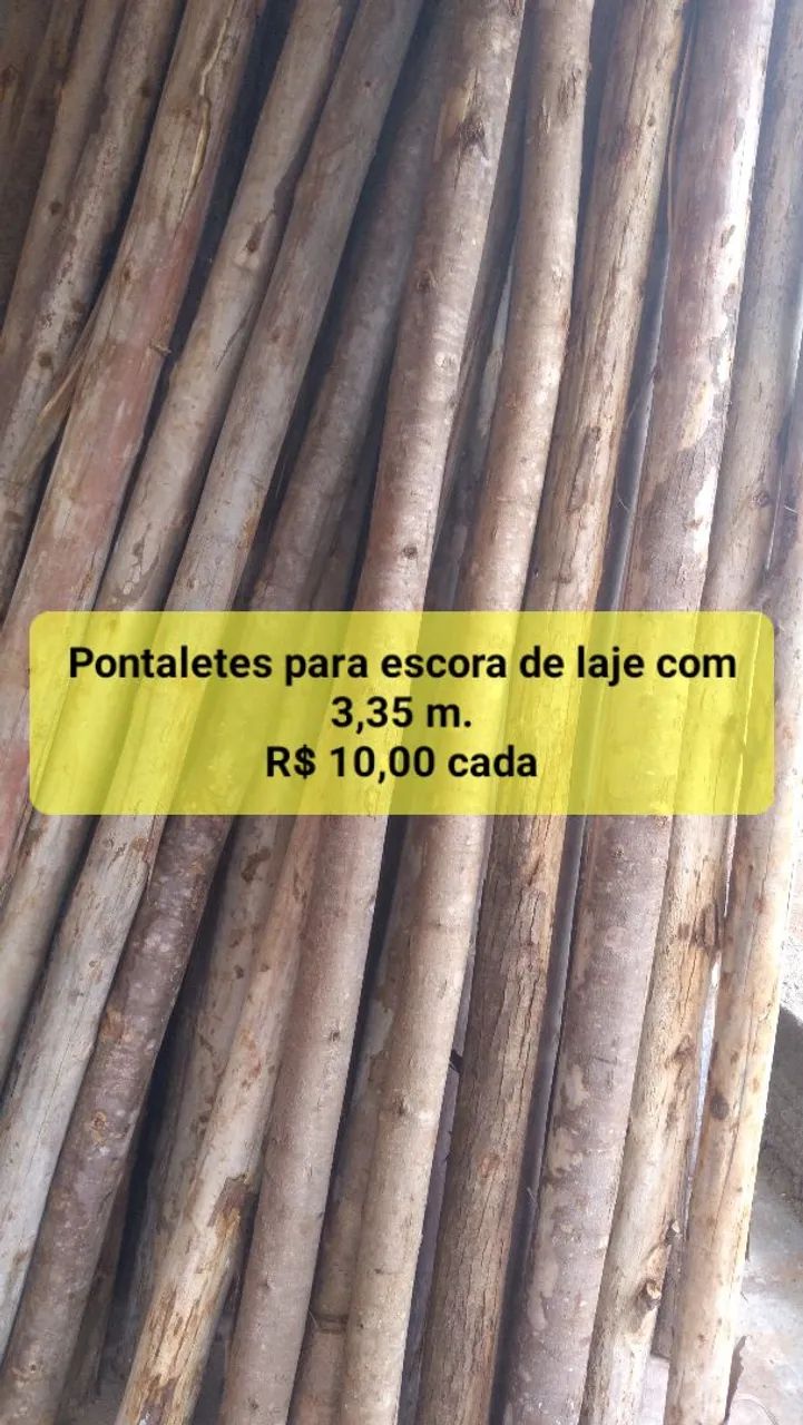 Escora de eucalipto 
