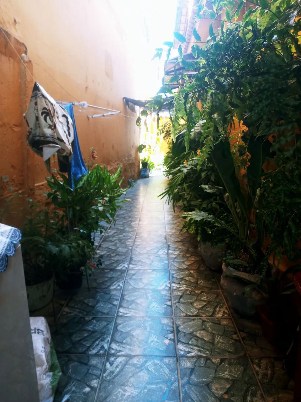 Aluguel casa 2 quartos - Foto 5