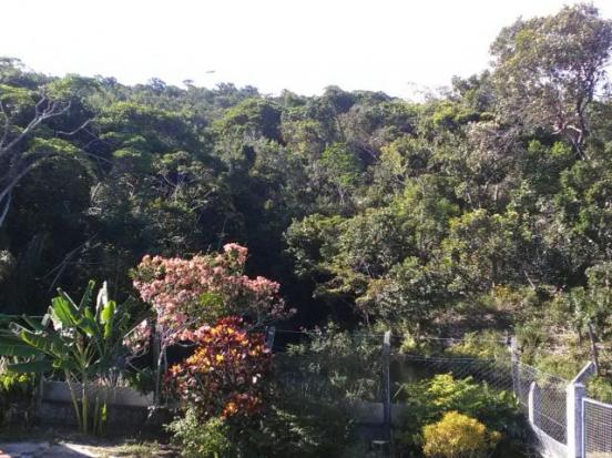 Espetacular fazenda, Salinas das Margaridas Bahia - Foto 15