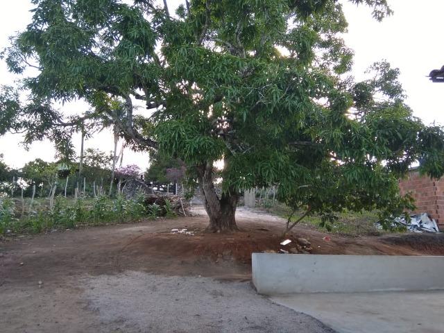Casa Para Final de Semana, Feriados e Carnaval - Limoeiro,PE - Foto 16
