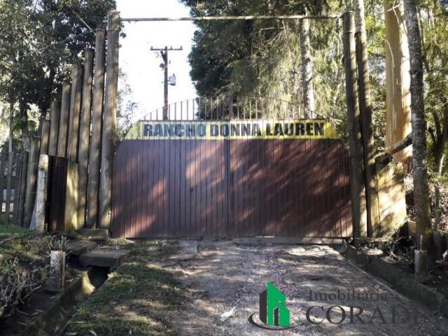 Haras em Campina Grande do Sul - Foto 19