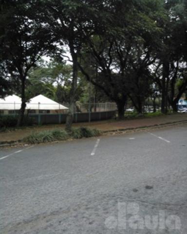 Terrano plano no jardim são caetano - Foto 16