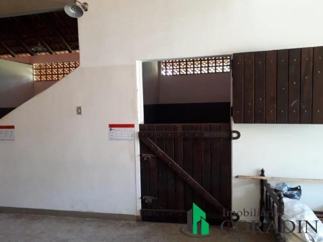 Haras em Campina Grande do Sul - Foto 4