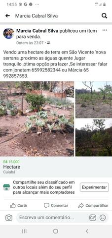 Vendo sítio na serra de são vicente