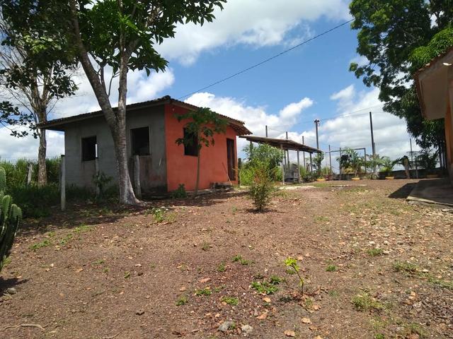 Sítio em apeú - Foto 13