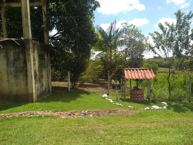 Sítio em apeú - Foto 3