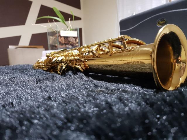 Saxofone reto Shelter - Foto 3