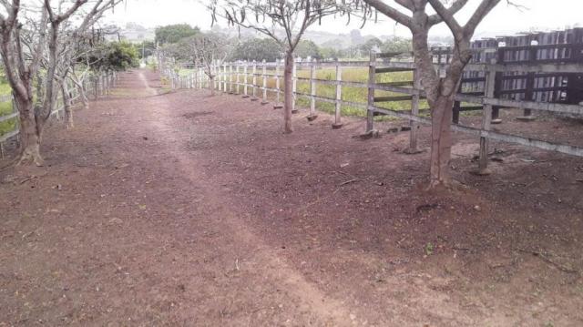 Fazenda para venda em feira nova, feira nova - Foto 7