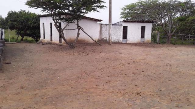 Fazenda para venda em feira nova, feira nova - Foto 2