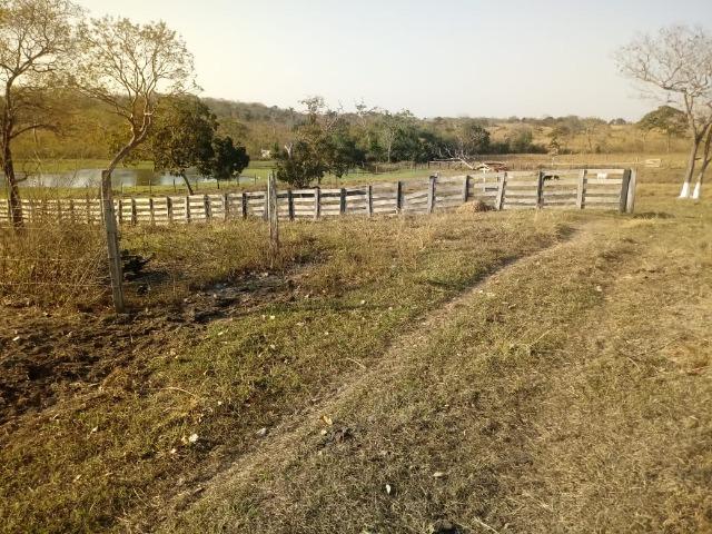 Fazenda há 10 km na MT 010 Estrada da Guia - Foto 14