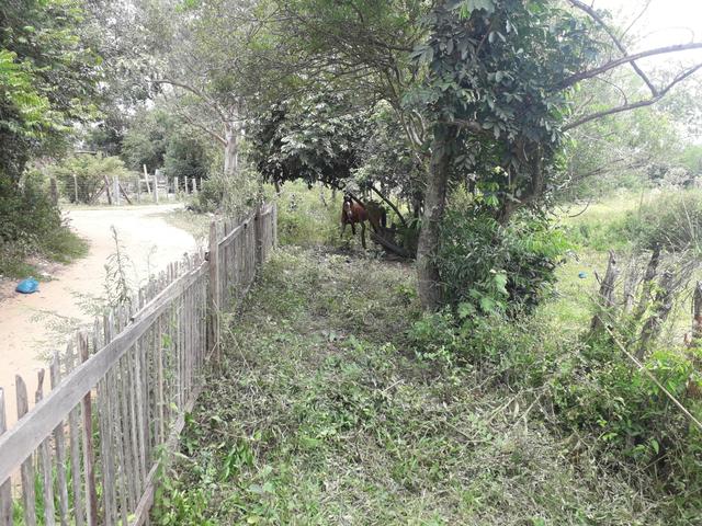 Terreno a venda em sapucaia rs - Foto 3