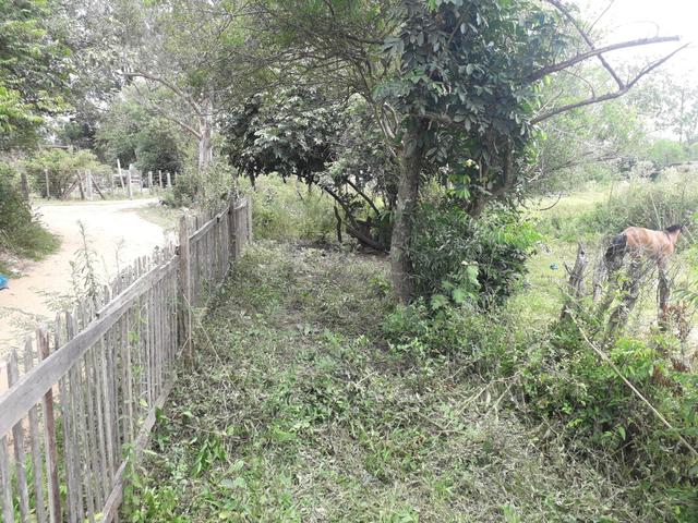Terreno a venda em sapucaia rs - Foto 5
