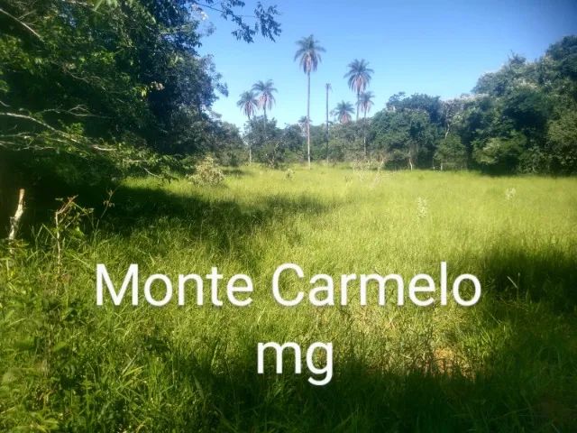 foto - Monte Carmelo - 