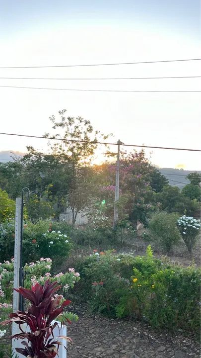 Lotes em Triunfo - Foto 4