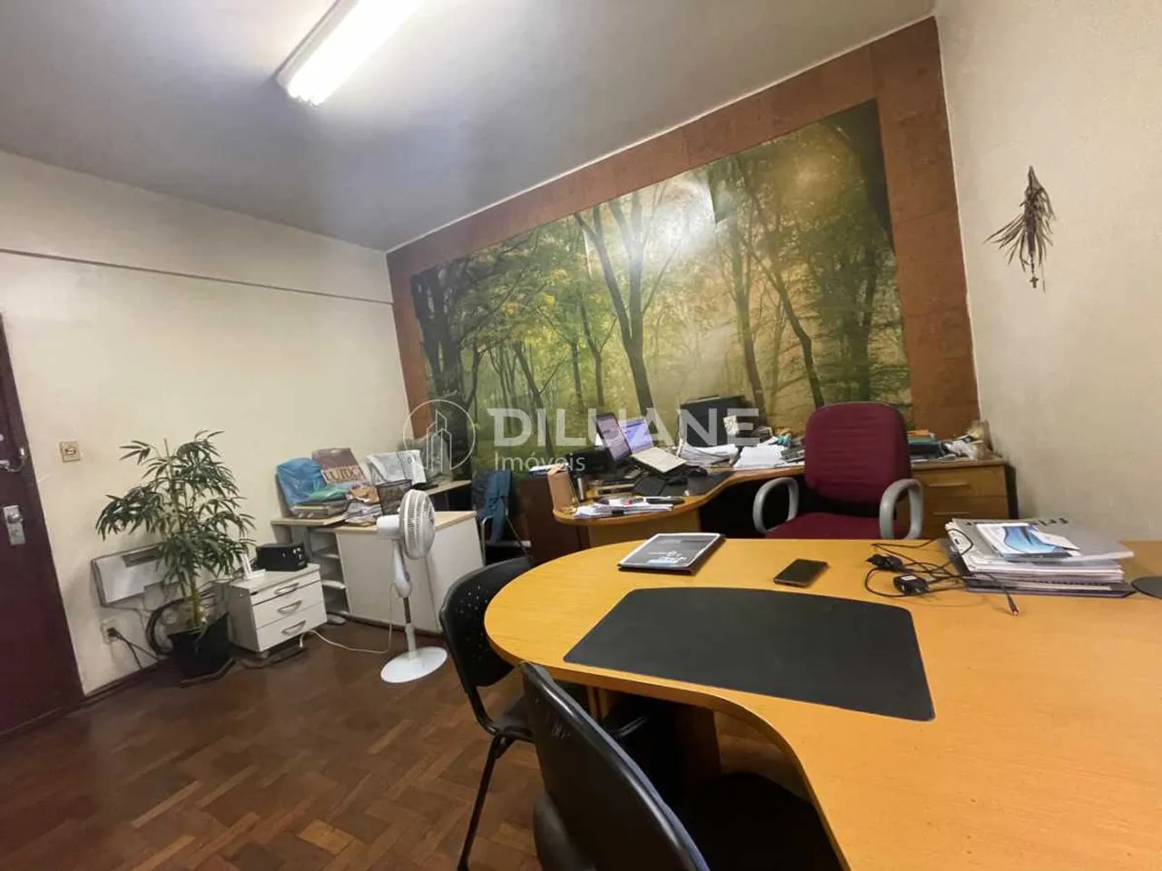 Sala - / Comercial / Saúde