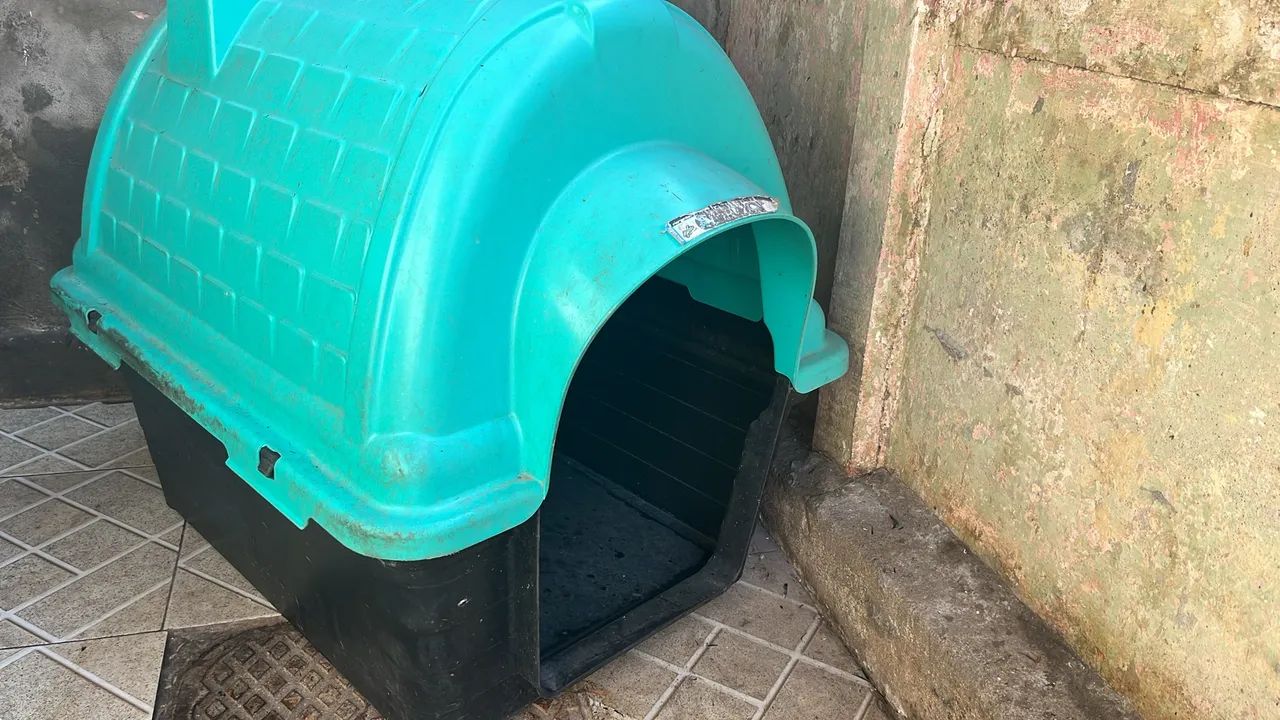 Casinha pra cachorro porte pequeno ou médio