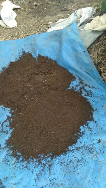 Fertilizante Húmus Rico em Nitrogênio Fósforo e Potássio - Foto 3