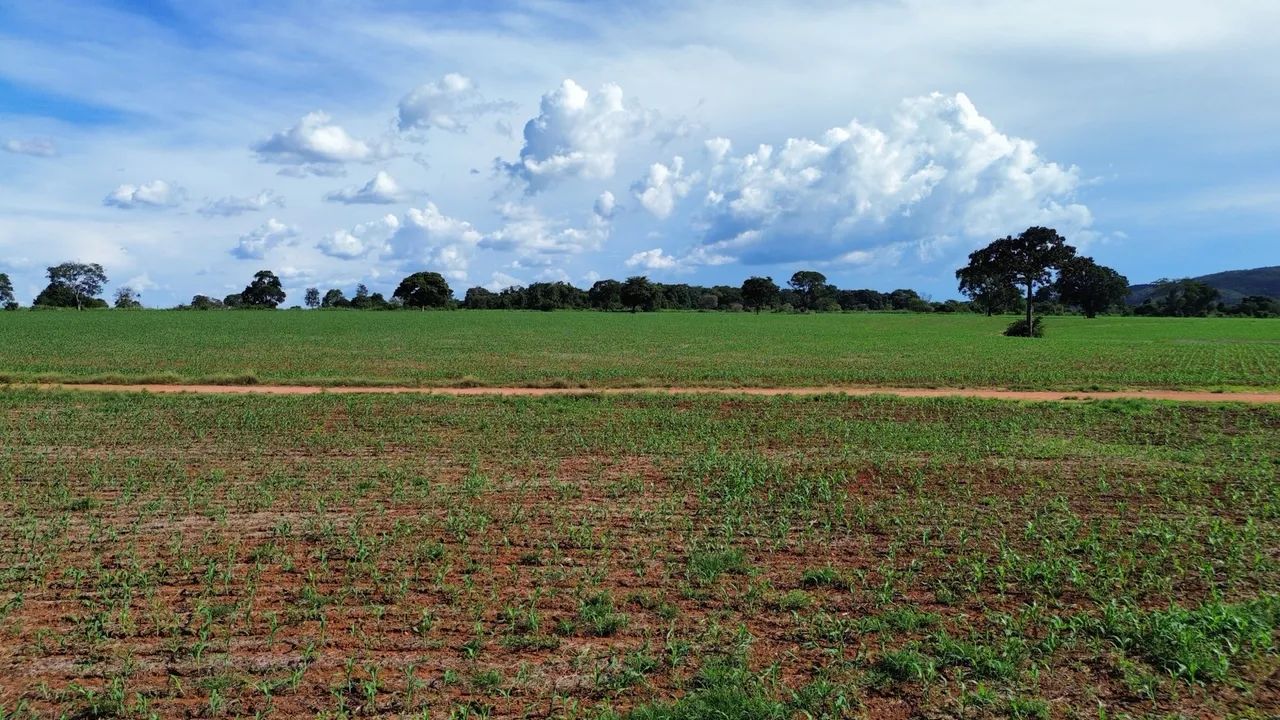 Vendo Fazenda  - Foto 5