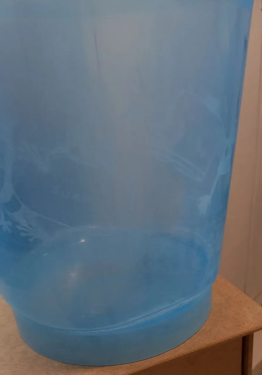Eufuror azul - Foto 4
