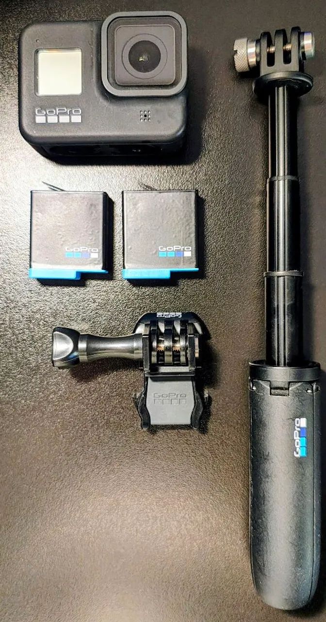 GoPro HERO 864520775485441124