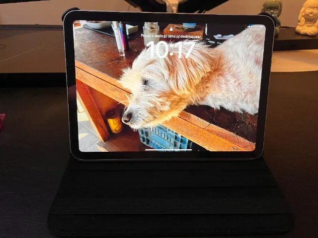 Ipad 10º com rede movel 