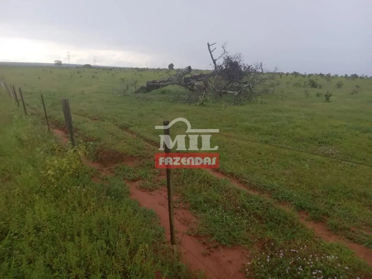 Fazenda em Primavera do Leste-MT. . 930 Alq. (4.501 Há).