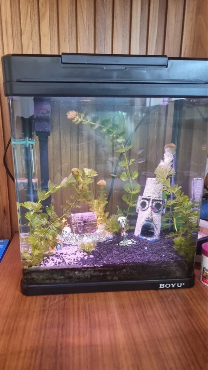 Aquário Completo com Decoração Temática
