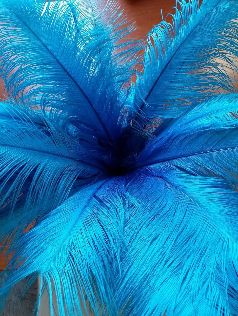 Plumas azul celeste - Foto 2
