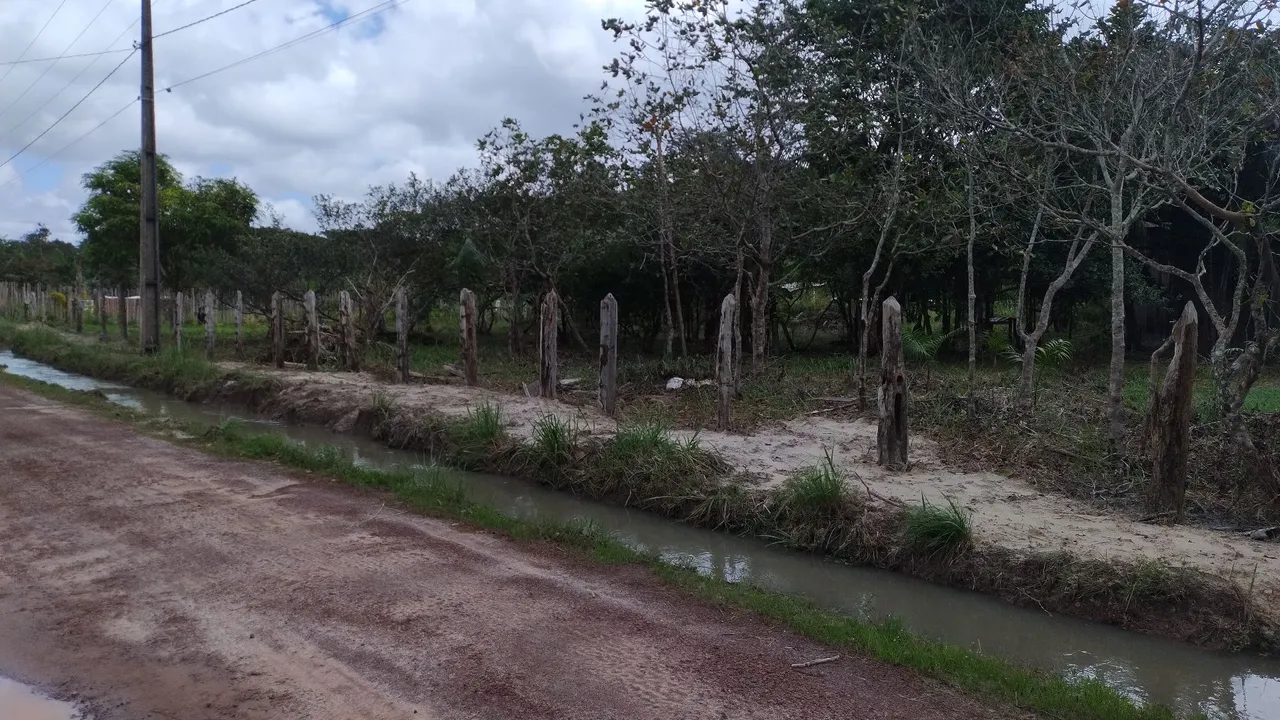 Terreno Rural à Venda - Ótima Oportunidade de Investimento!