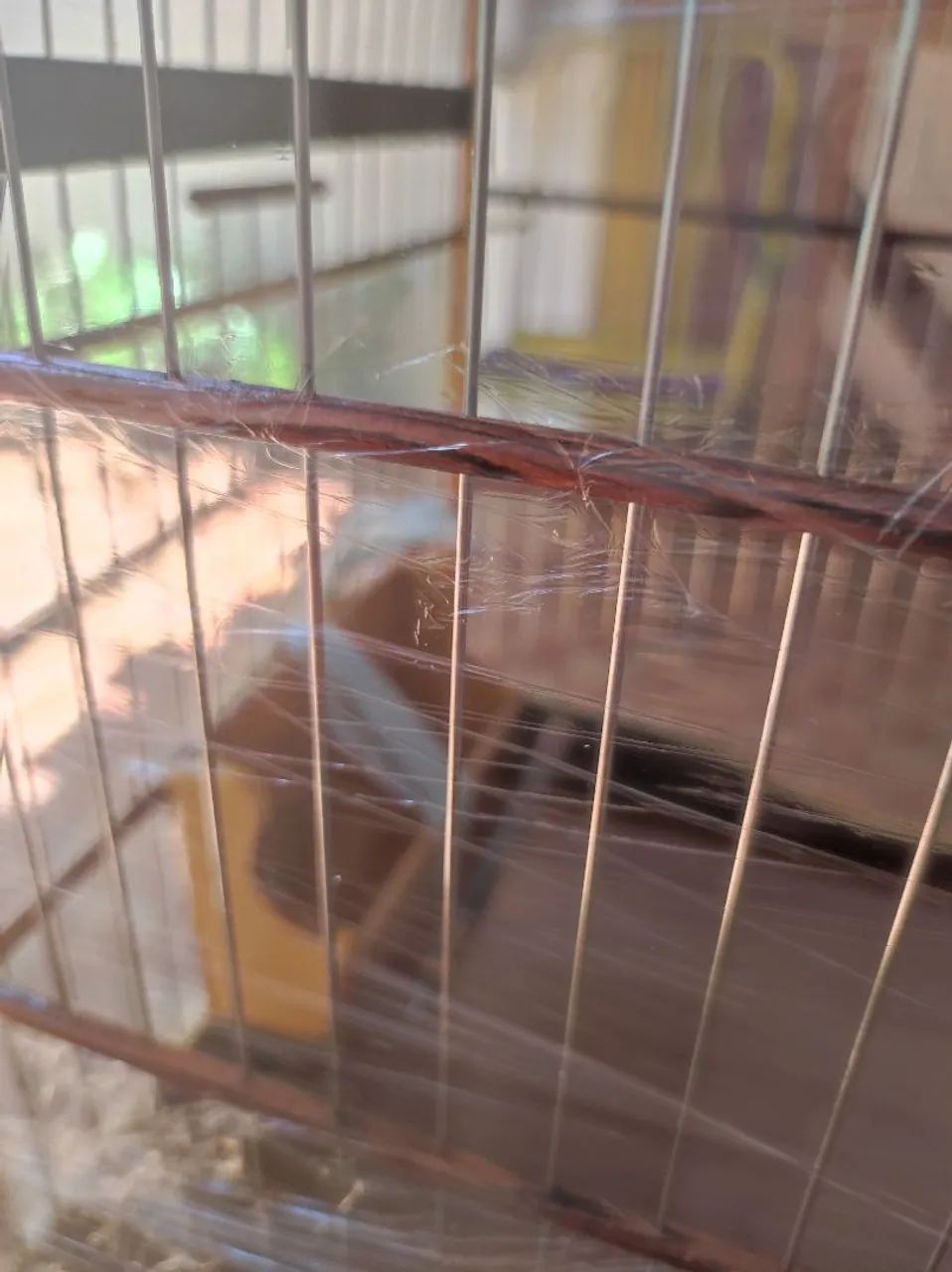 Gaiola em aço inox n 6