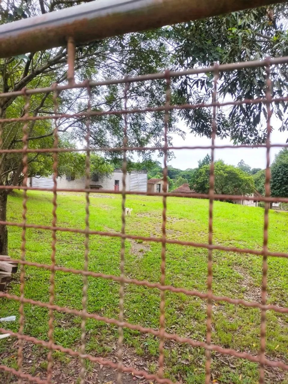 Foto - Mandirituba - Área Rural (Areia Branca dos Assis)