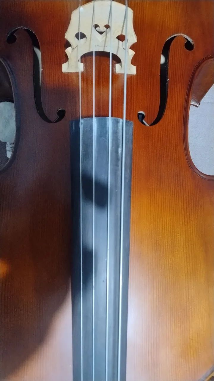 Violoncelo Eagle C300