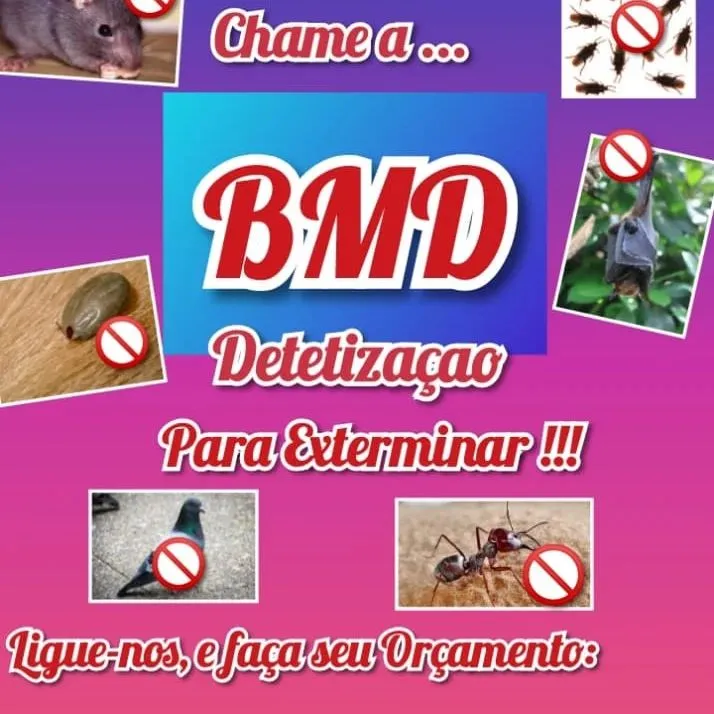 BMD - Detetização: Exterminamos Pragas!