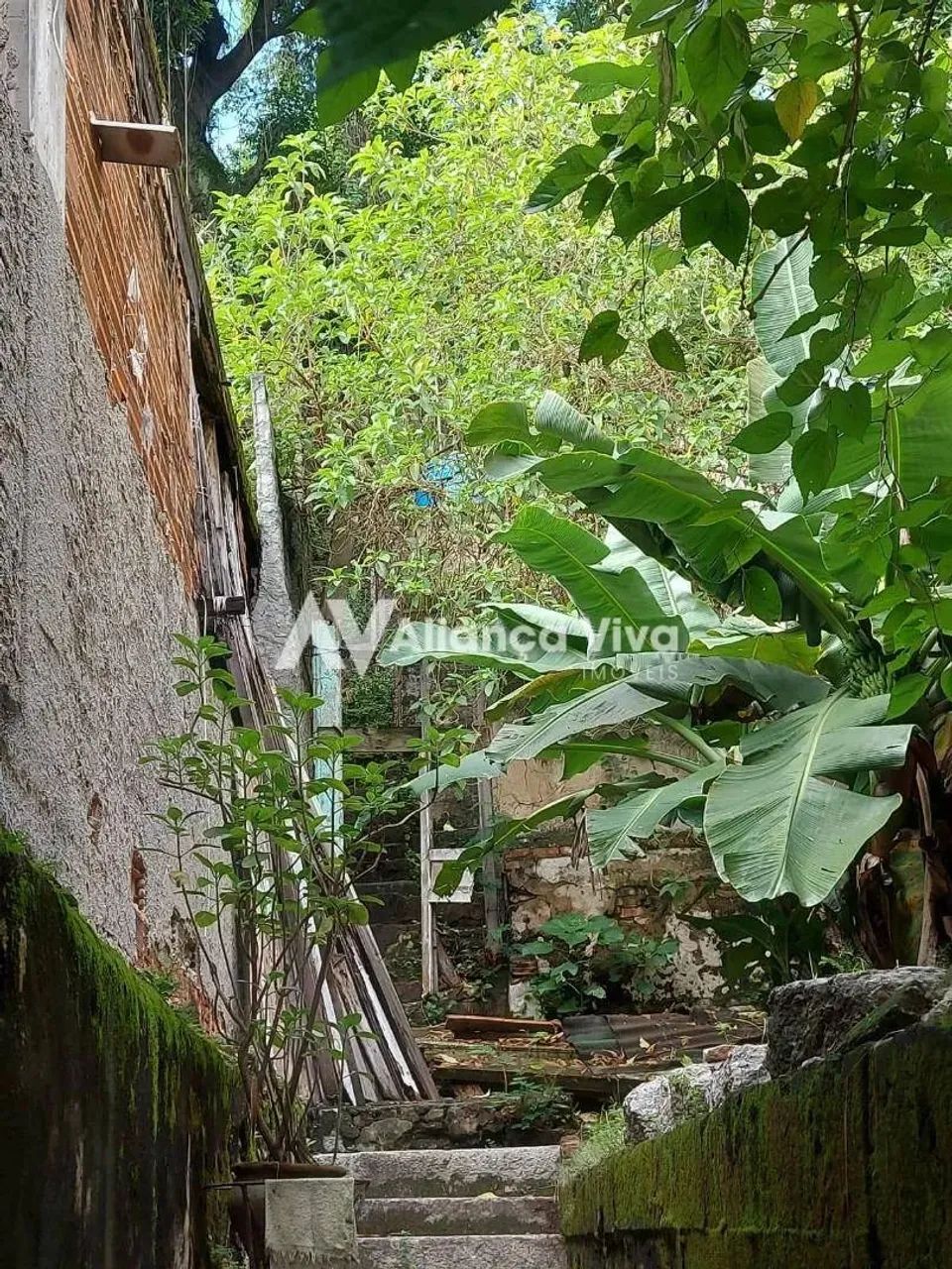 Santa Teresa | Terreno - Foto 5