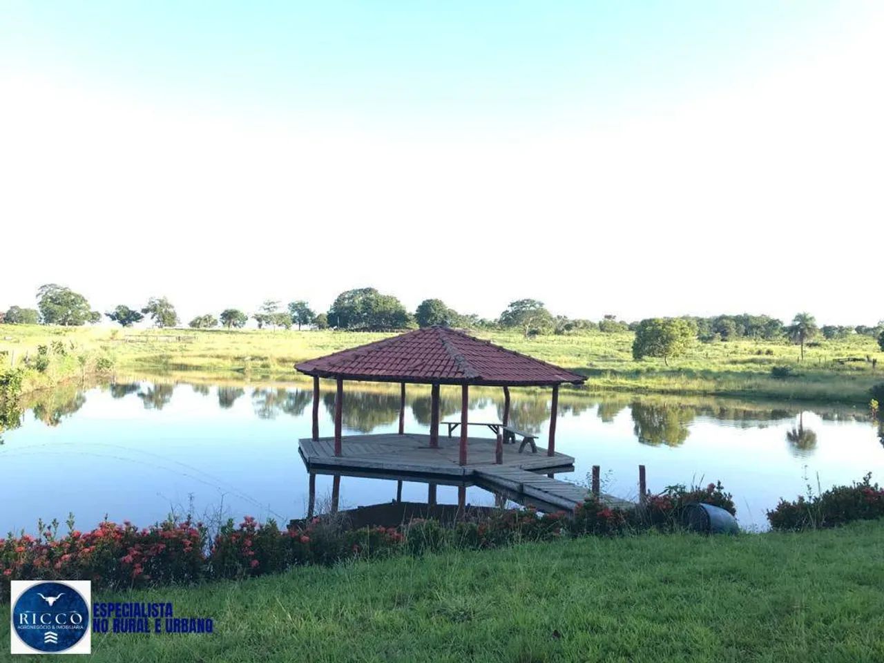 Fazenda à Venda em Nova Crixás  GO | 55 Alqueires | 100% formada