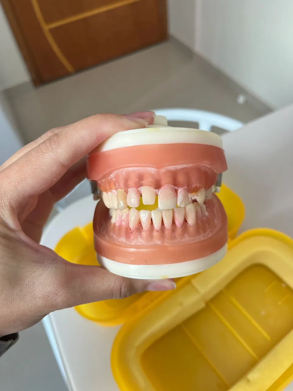 Manequim Dentistica Pronew - Foto 2