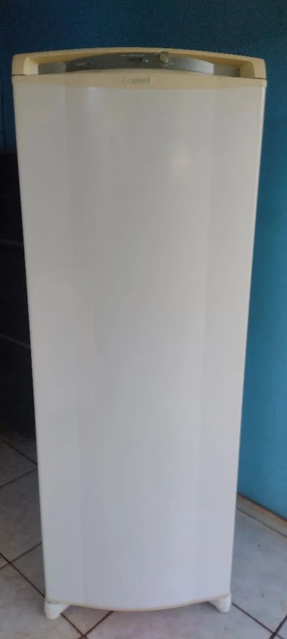 Freezer  Consul 246 litros w110