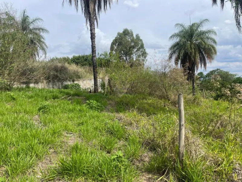 LOTE TERRENO 1000m2 - Foto 2