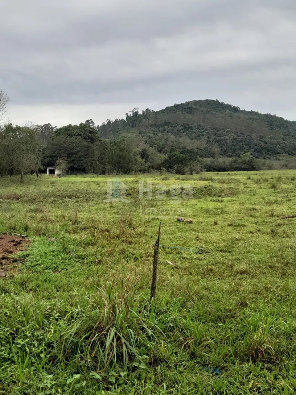 Sítio à venda em Turvo/SC - Foto 5