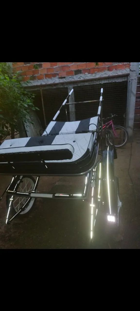Charrete reformada sem uso pra venda. - Foto 4