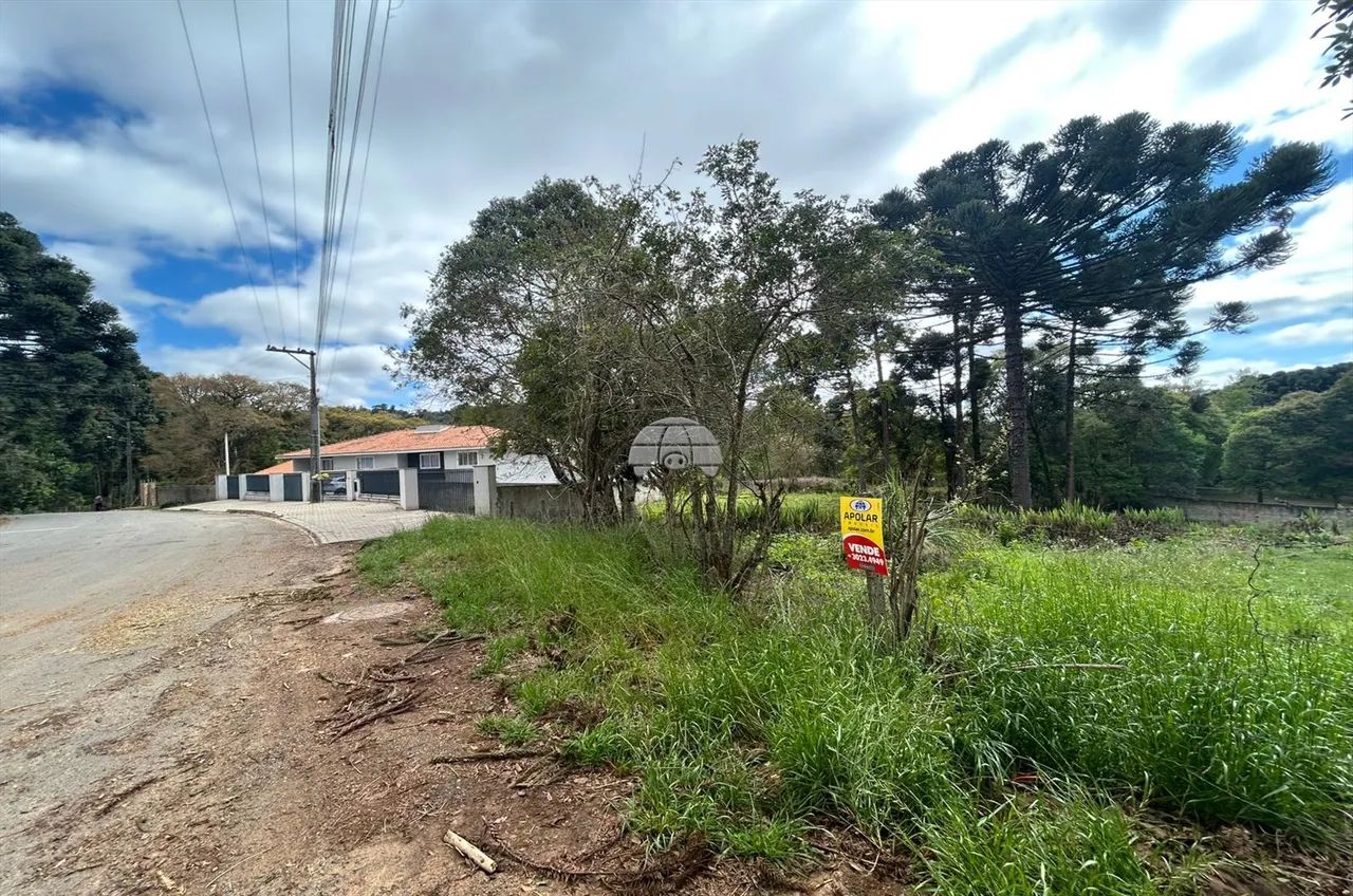 Vendas Terreno Campo Largo PR - Foto 5