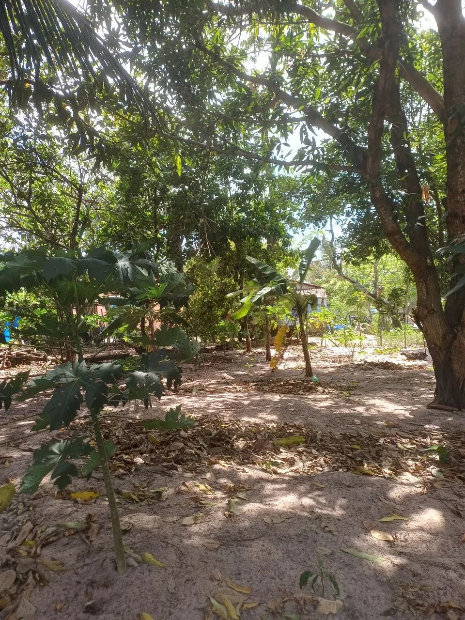 Terreno Nova Alvorada (S. G. Amarante/RN) - Foto 2