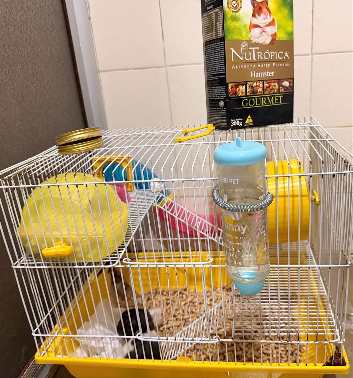 Vendo LINDO Hamster com gaiola e tudo !  - Foto 3