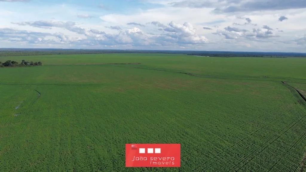 Fazenda para Venda em Palmeirante - Foto 5