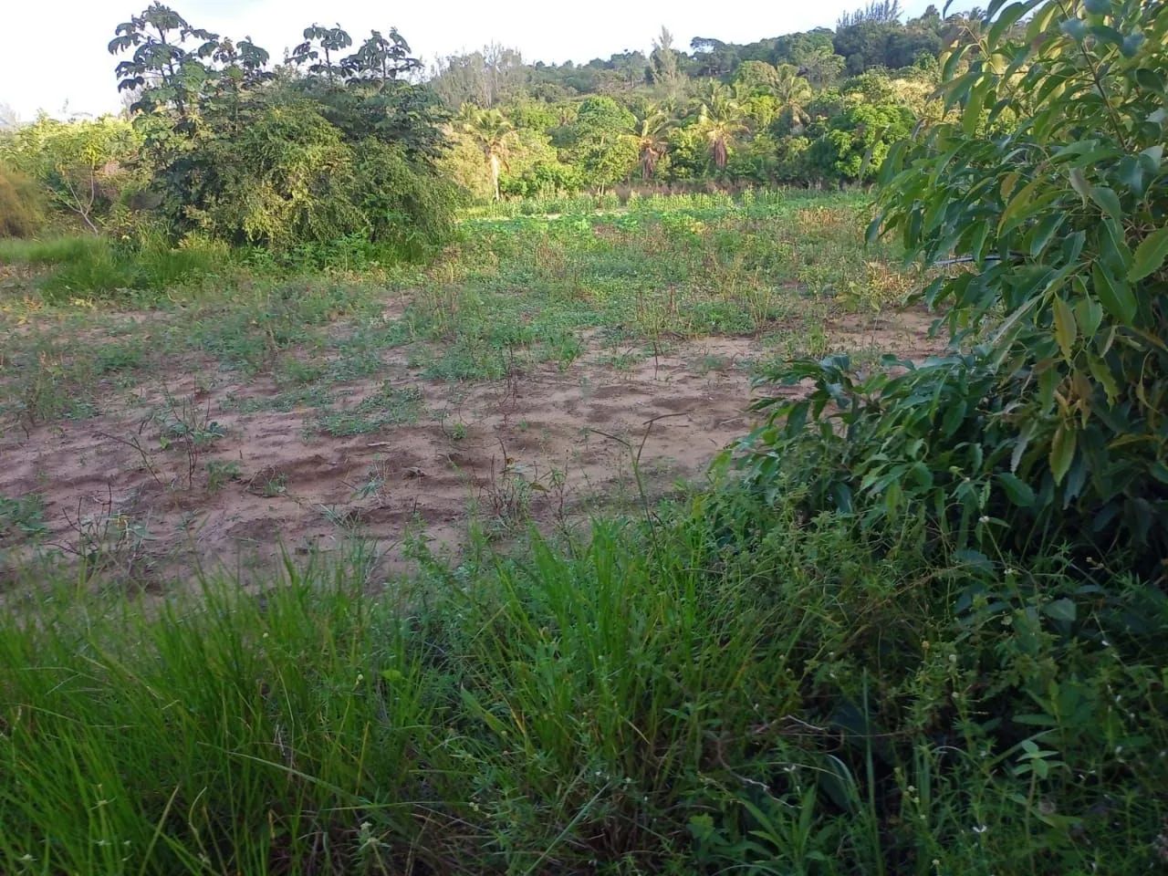 Terreno no conde - Foto 5