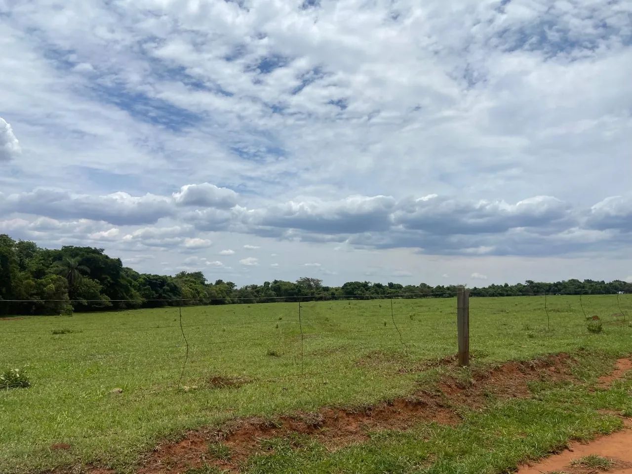 Fazenda à venda na Zona Rural - Foto 4
