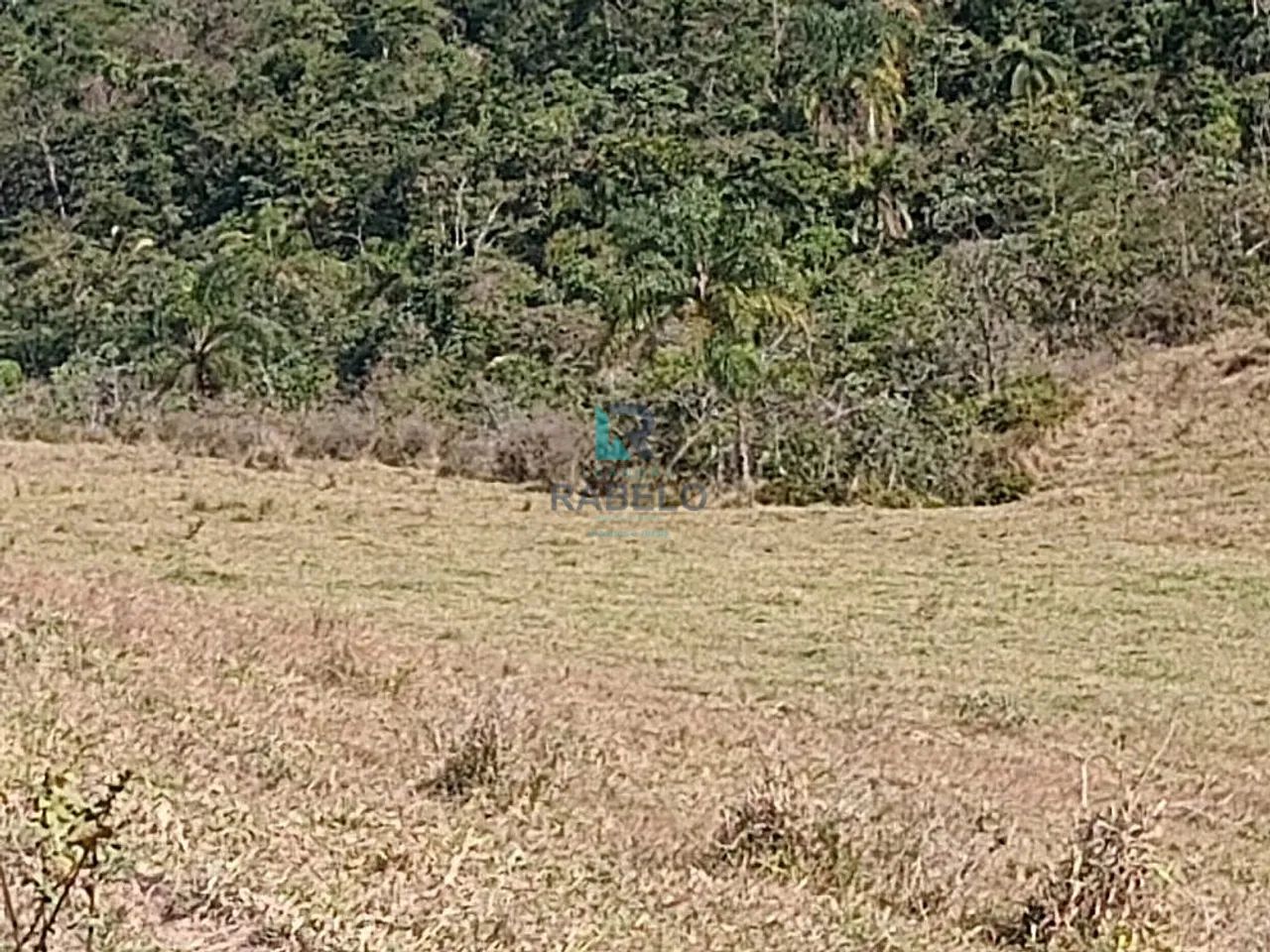 CHÁCARAS COM VISTA PANORÂMICA EM LORENA-SP - Foto 5