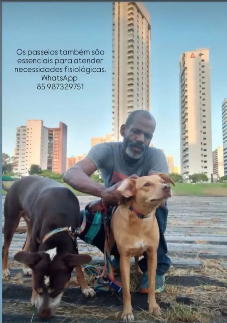 Passeio de pet. - Foto 5