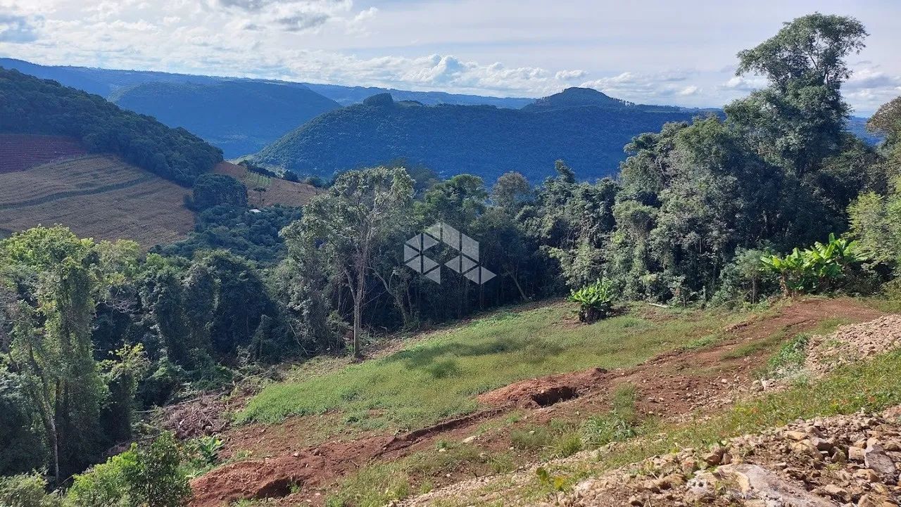 sítio em Tuiuty - Foto 3
